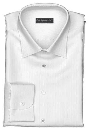 WRINKLE FREE TC ホワイト ドビー グループストライプ (Y100967)