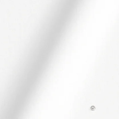 WRINKLE FREE TC ホワイト ロイヤルオックスフォード (Y100943) - 画像 (2)