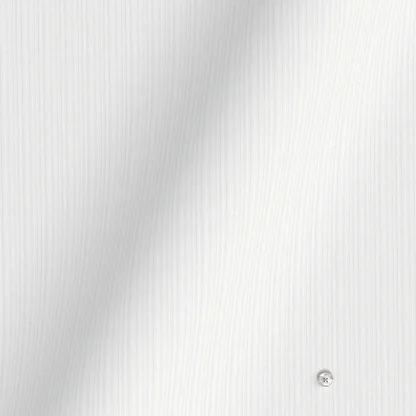 WRINKLE FREE TC ホワイト ドビーストライプ(Y100954) - 画像 (2)