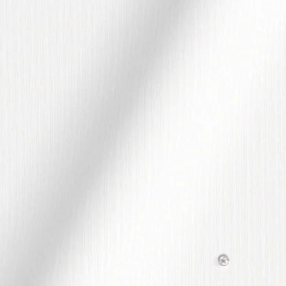 WRINKLE FREE TC ホワイト ドビー グループストライプ (Y100967) - 画像 (2)