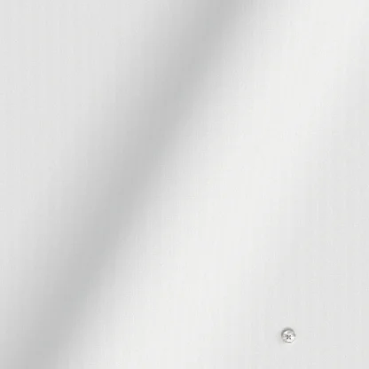 WRINKLE FREE TC ホワイト オックスフォード(Y100975) - 画像 (2)